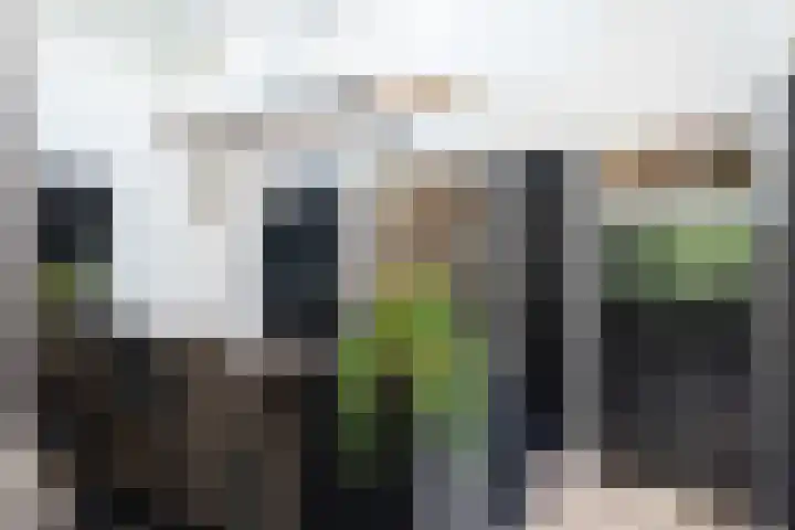 Arete van Cyrenelaan 6 Almere thumbnail 10