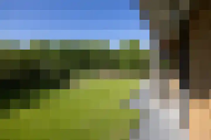 Arete van Cyrenelaan 6 Almere thumbnail 36