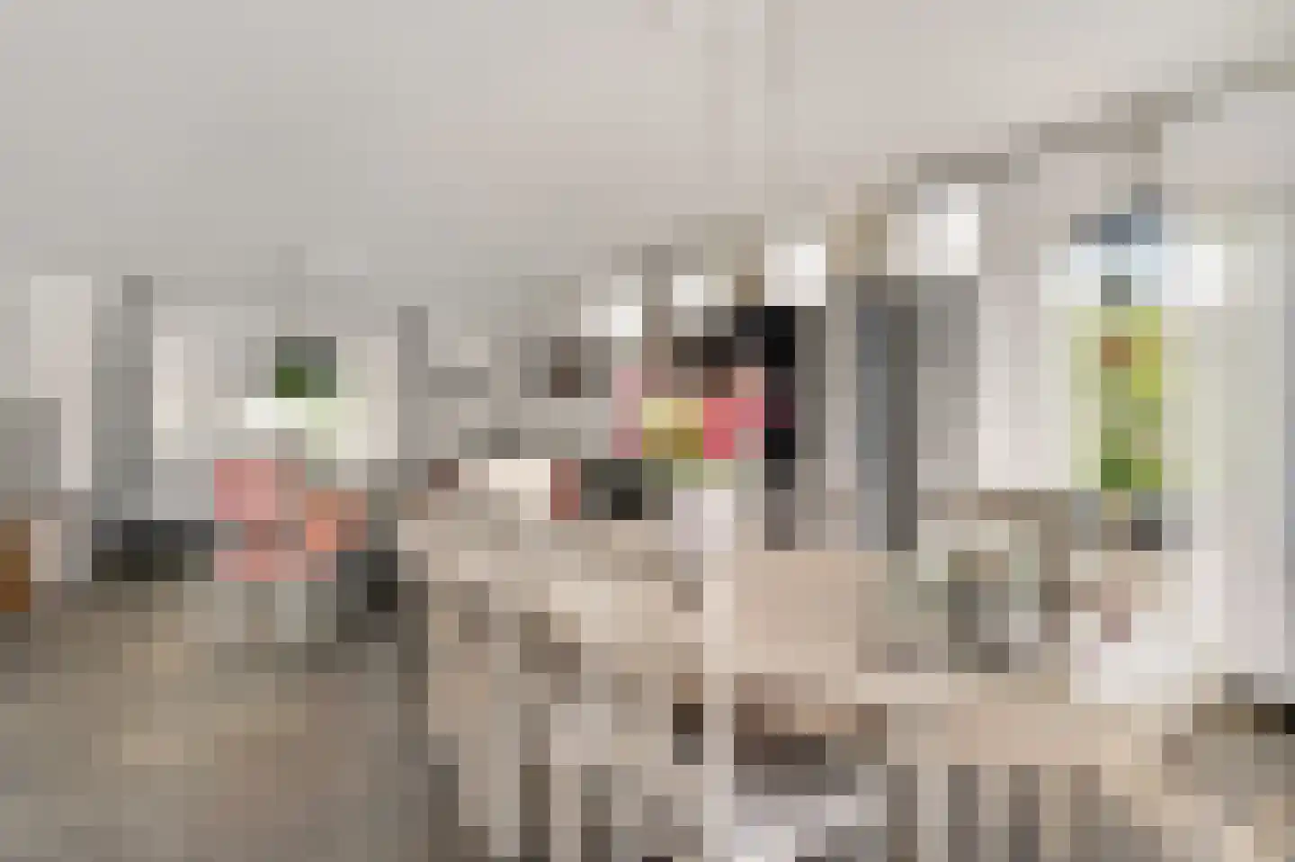 Aretsbosweg 9 Bocholtz thumbnail 10