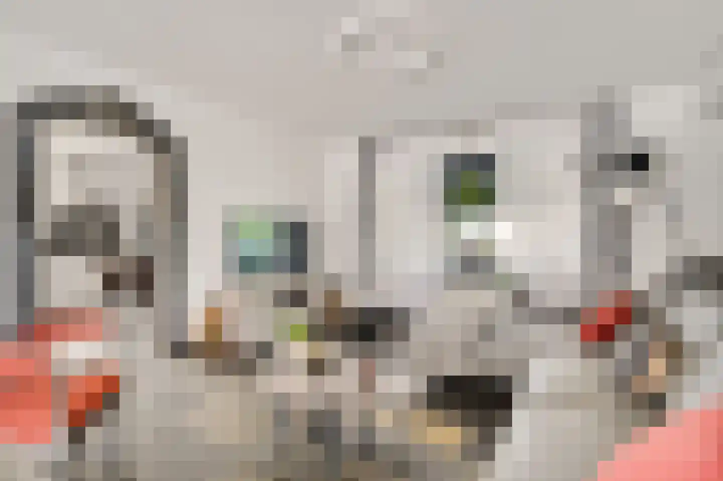 Aretsbosweg 9 Bocholtz thumbnail 11