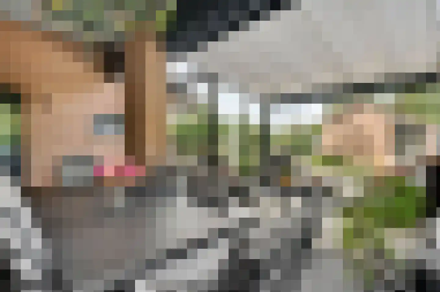 Aretsbosweg 9 Bocholtz thumbnail 17