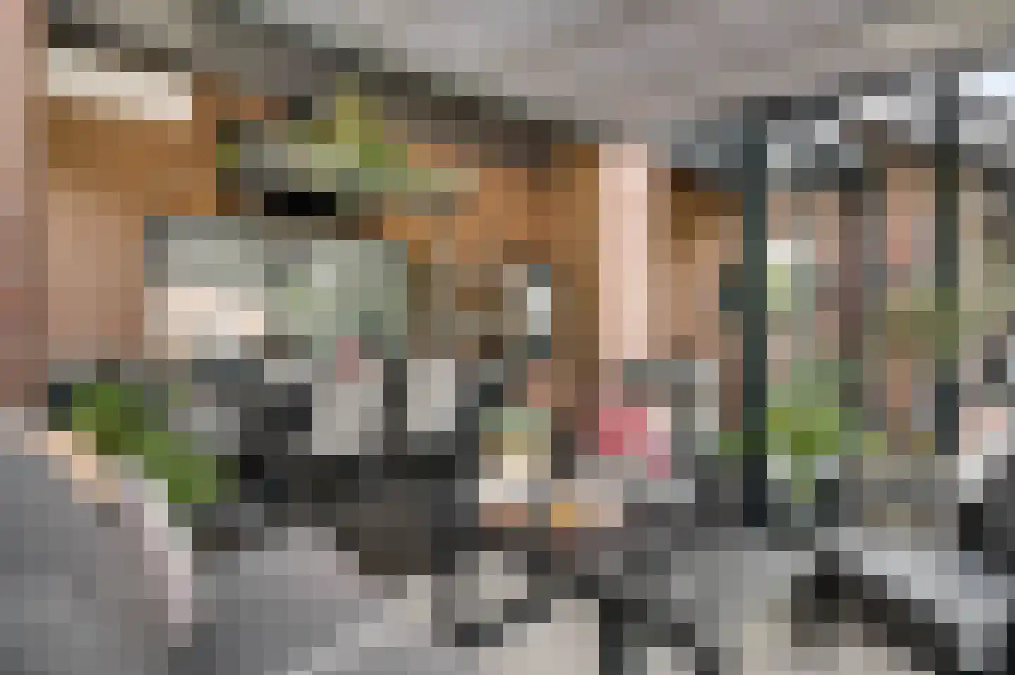 Aretsbosweg 9 Bocholtz thumbnail 19