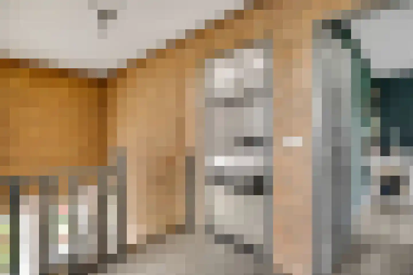 Aretsbosweg 9 Bocholtz thumbnail 21