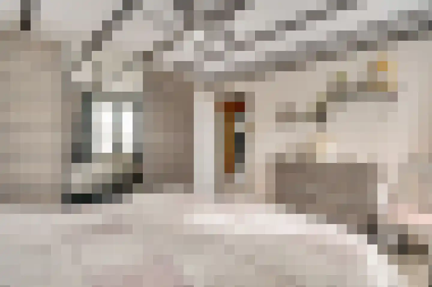 Aretsbosweg 9 Bocholtz thumbnail 24