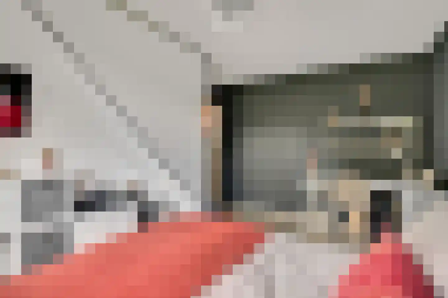Aretsbosweg 9 Bocholtz thumbnail 26