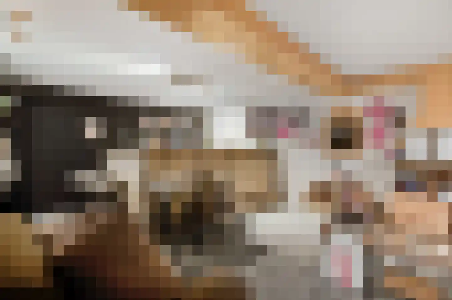 Aretsbosweg 9 Bocholtz thumbnail 31