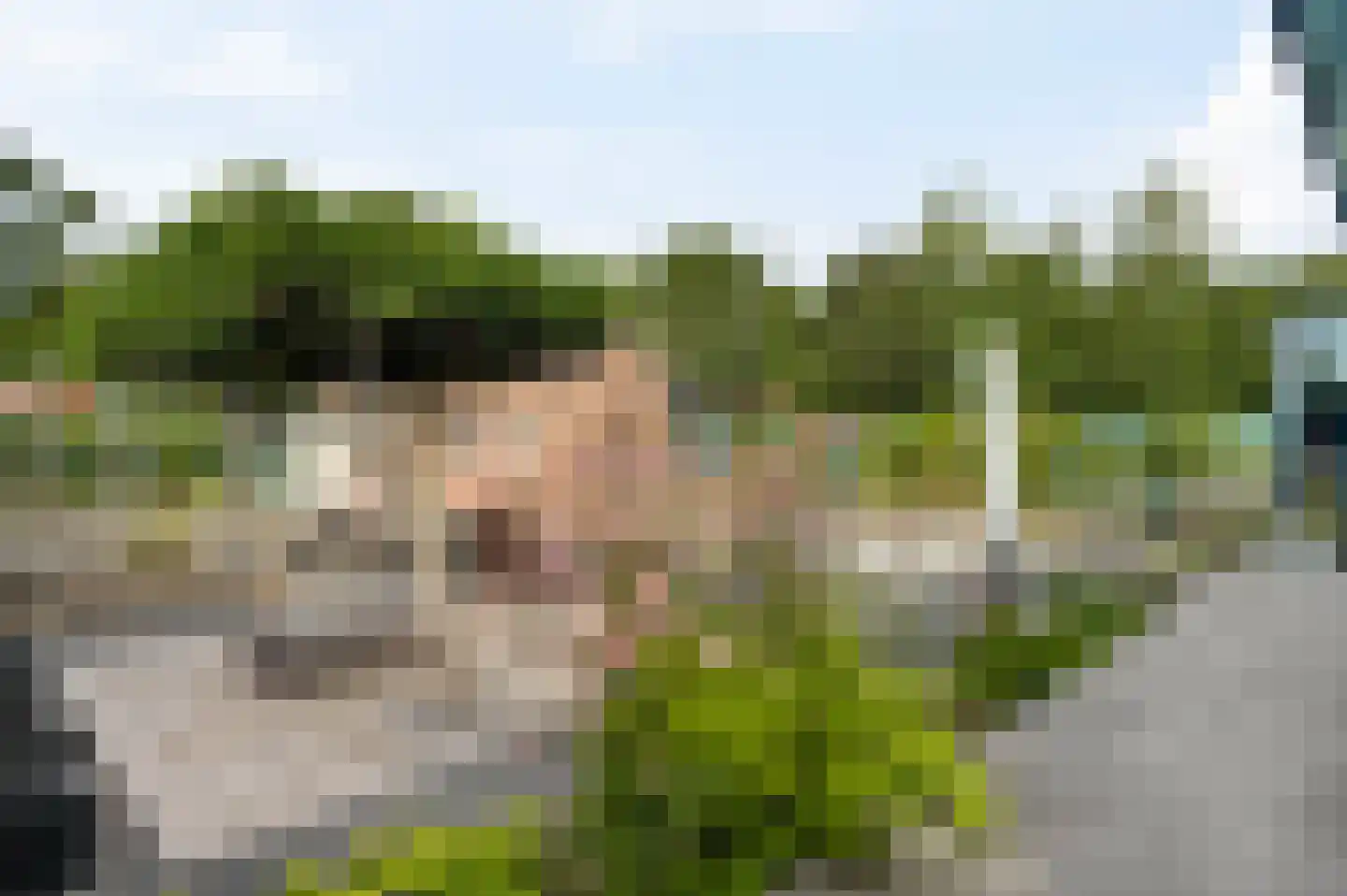 Aretsbosweg 9 Bocholtz thumbnail 36