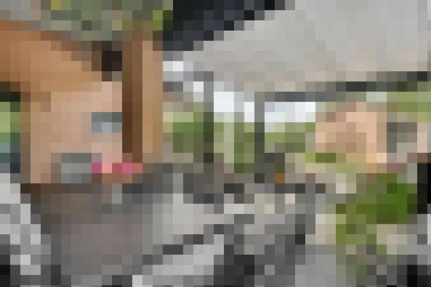 Aretsbosweg 9 Bocholtz thumbnail 4