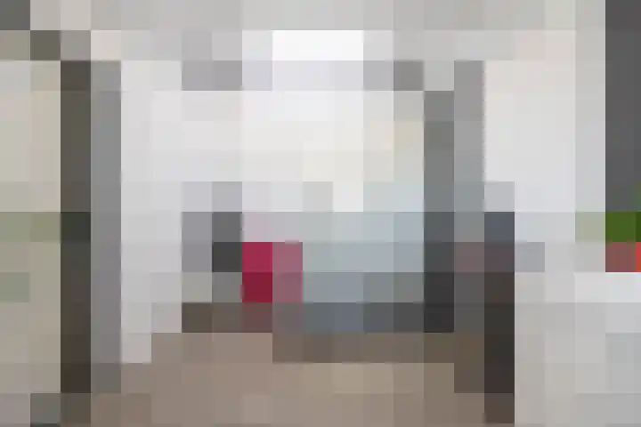Argentiniësingel 34 Alphen aan den Rijn thumbnail 19