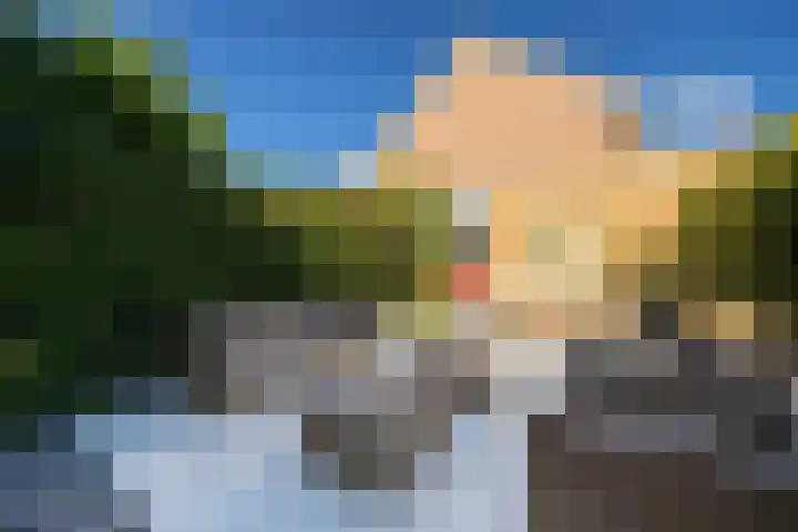 Argentiniësingel 34 Alphen aan den Rijn thumbnail 21