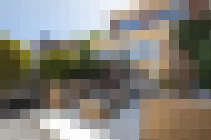 Argentiniësingel 34 Alphen aan den Rijn thumbnail 22