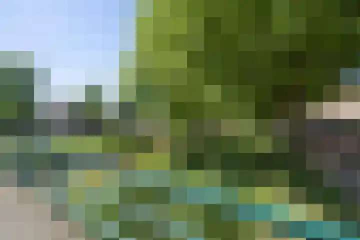 Argentiniësingel 34 Alphen aan den Rijn thumbnail 27