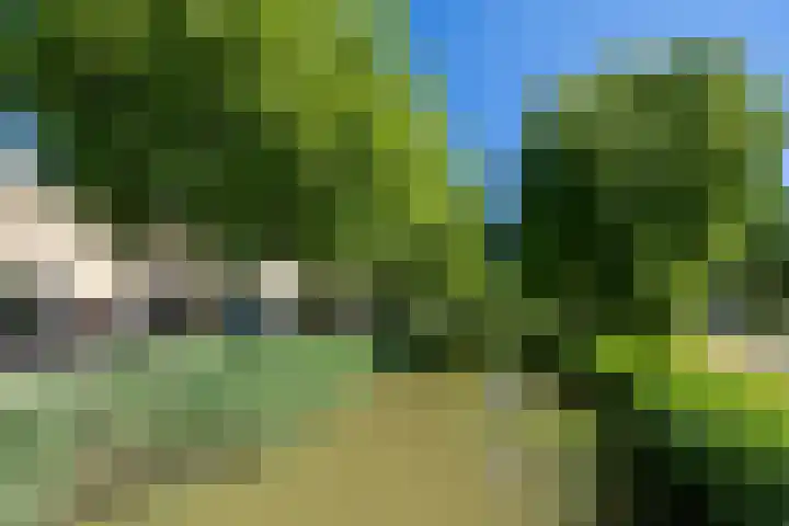 Argentiniësingel 34 Alphen aan den Rijn thumbnail 28