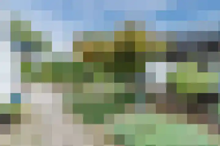 Argonautenlaan 24 Eindhoven thumbnail 36