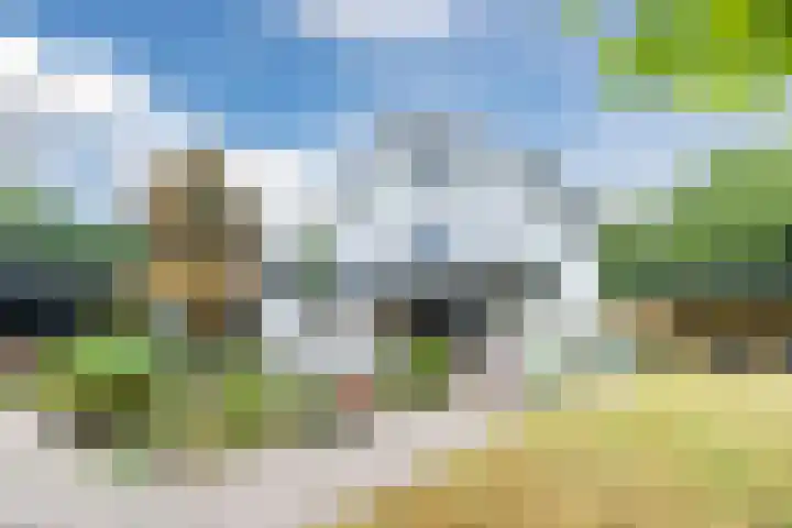 Argonautenlaan 24 Eindhoven thumbnail 38