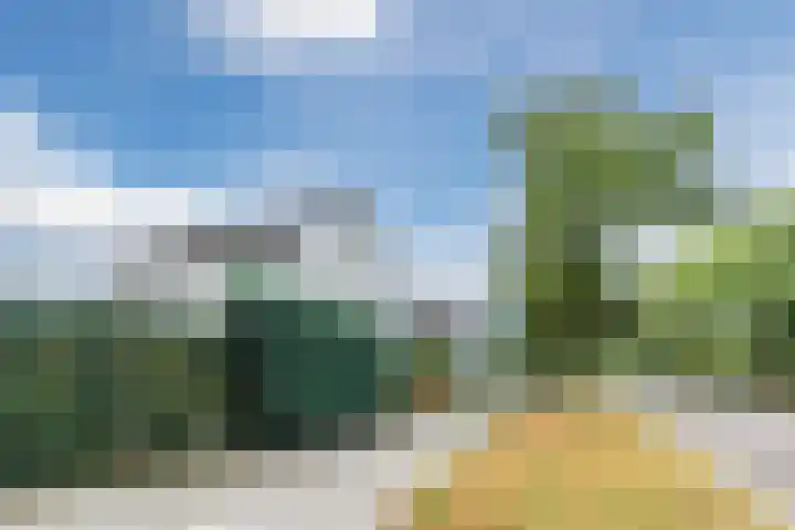 Argonautenlaan 24 Eindhoven thumbnail 41
