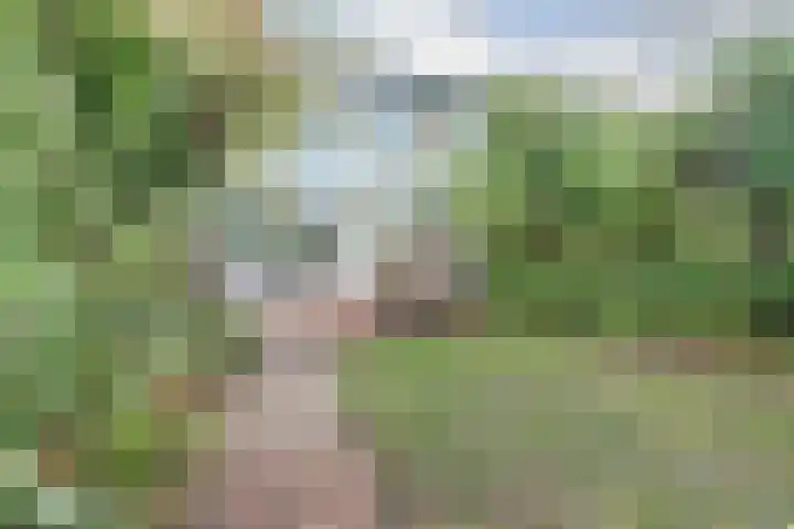 Argonautenlaan 63 Eindhoven thumbnail 44