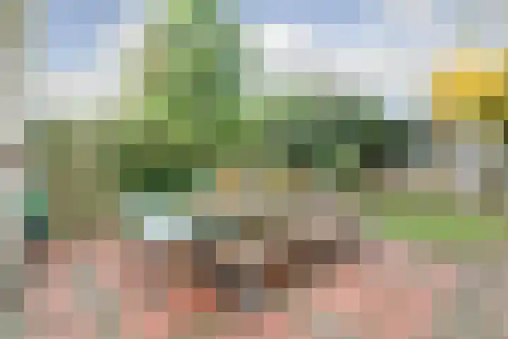 Argonautenlaan 63 Eindhoven thumbnail 46