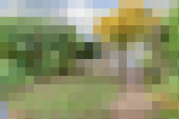 Argonautenlaan 63 Eindhoven thumbnail 47