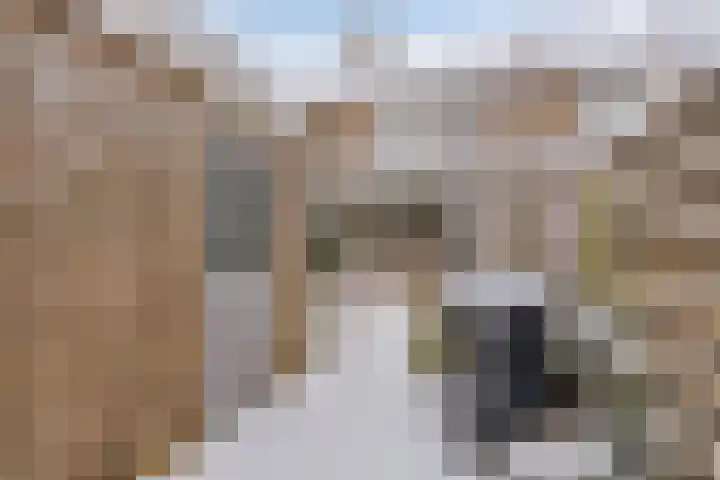 Argonautenrede 35 Zoetermeer thumbnail 25