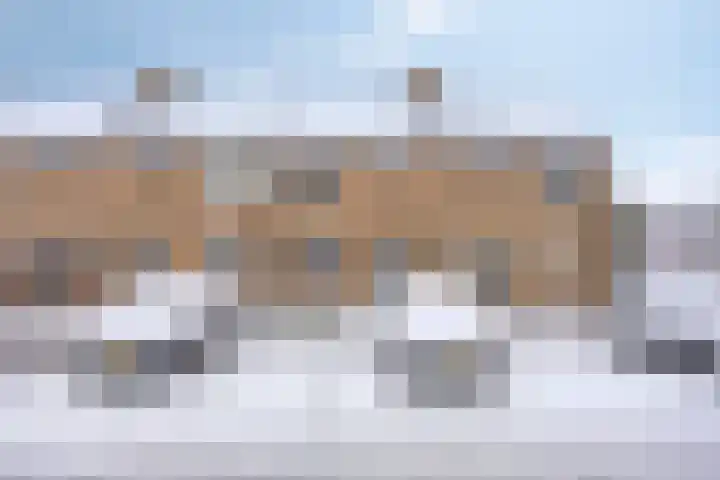 Argonautenrede 35 Zoetermeer thumbnail 4