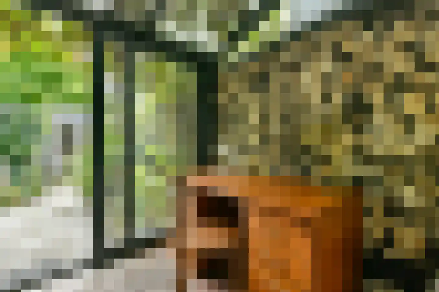 Argonautenstraat 5 H Amsterdam thumbnail 12