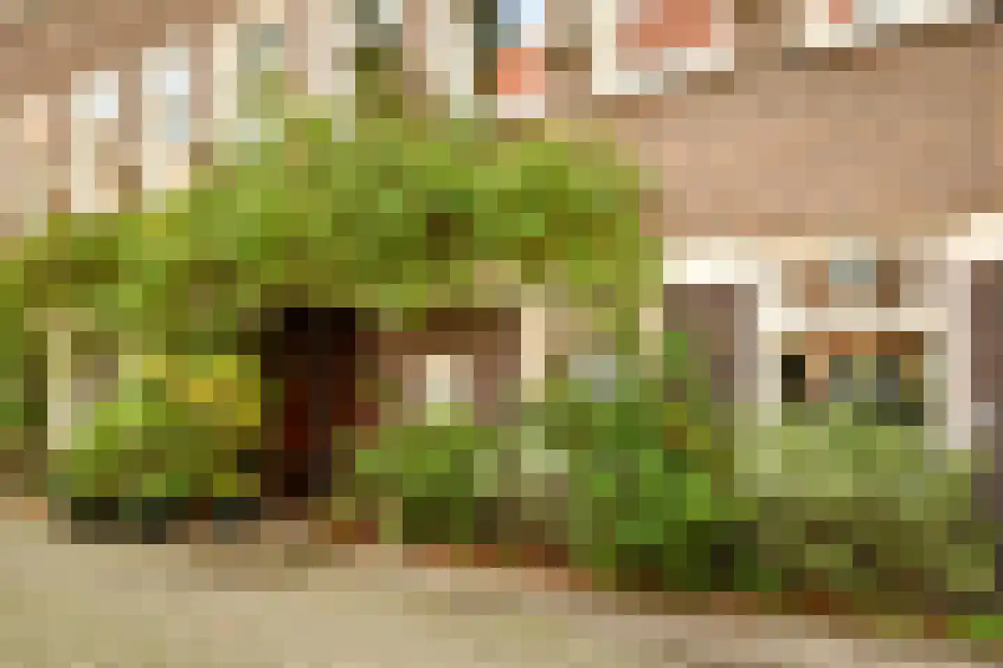 Argonautenstraat 5 H Amsterdam thumbnail 20