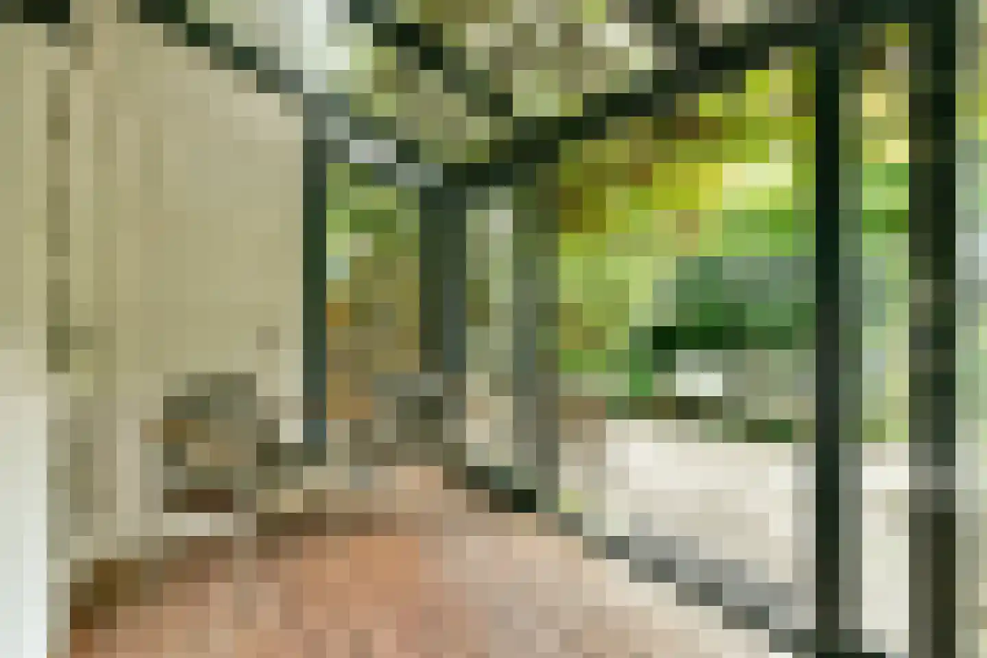 Argonautenstraat 5 H Amsterdam thumbnail 4