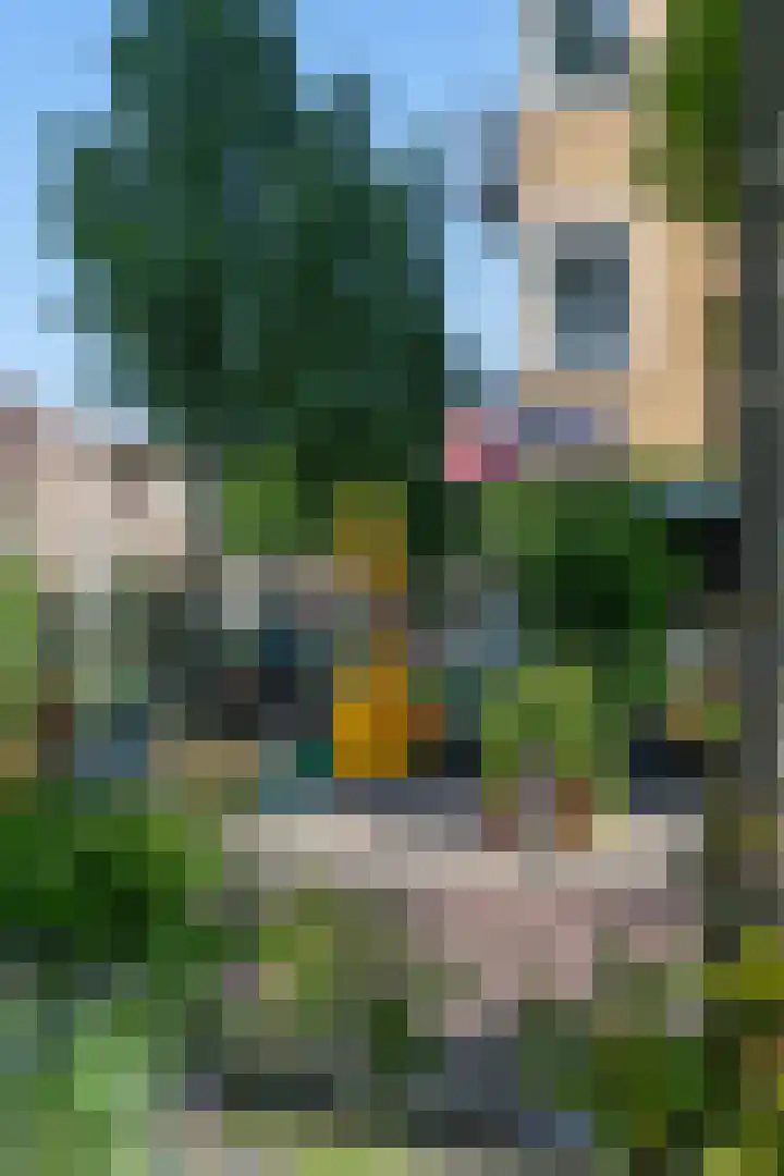 Argonautenstraat 56 H Amsterdam thumbnail 39