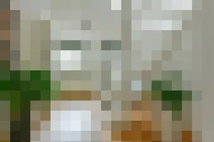Argonautenstraat 6 1 Amsterdam thumbnail 7