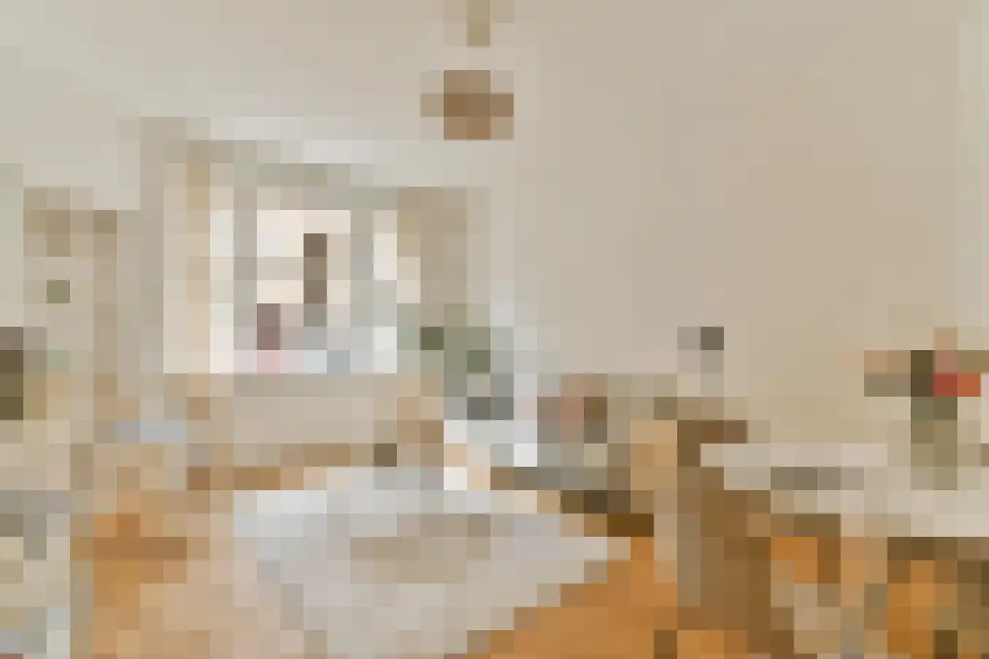 Argonautenstraat 76 1 Amsterdam thumbnail 4