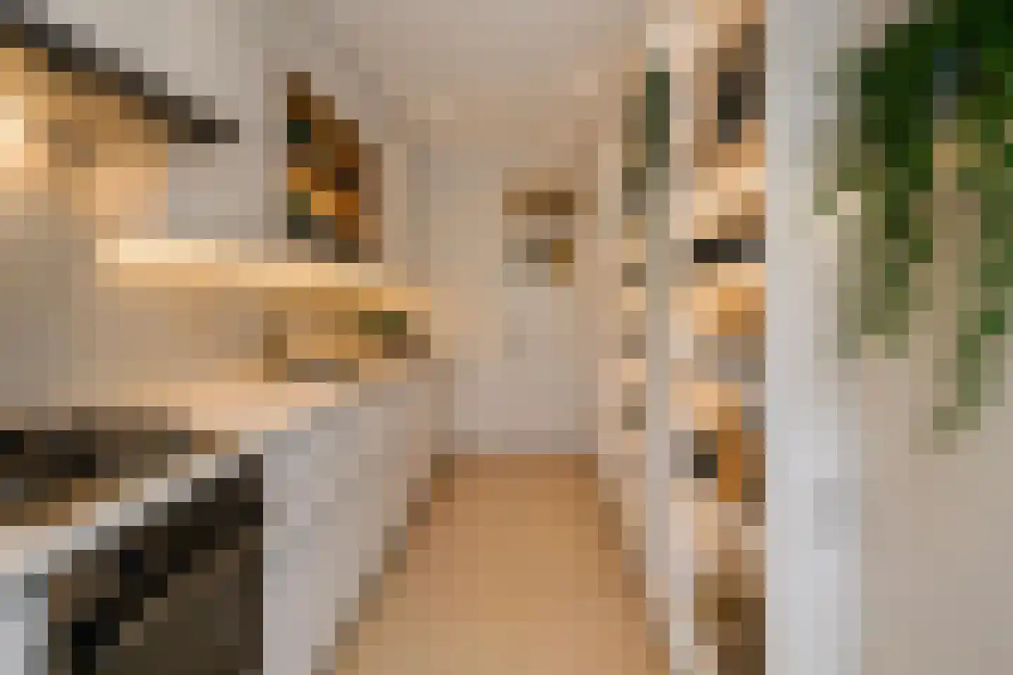 Argonautenstraat 76 1 Amsterdam thumbnail 9