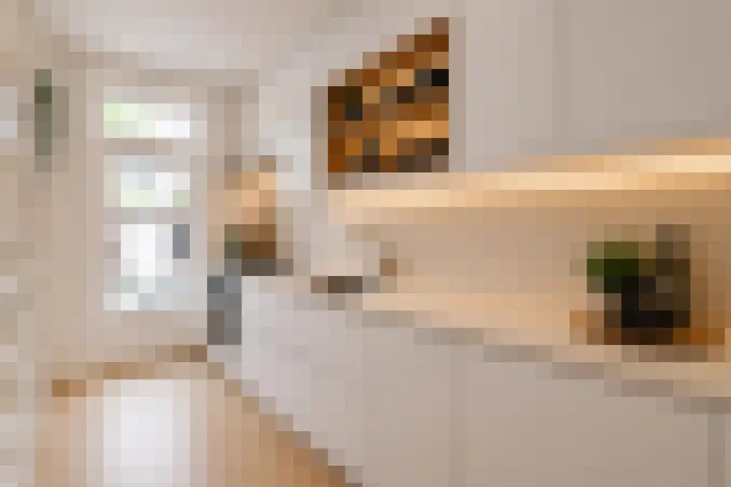 Argonautenstraat 76 2 Amsterdam thumbnail 7