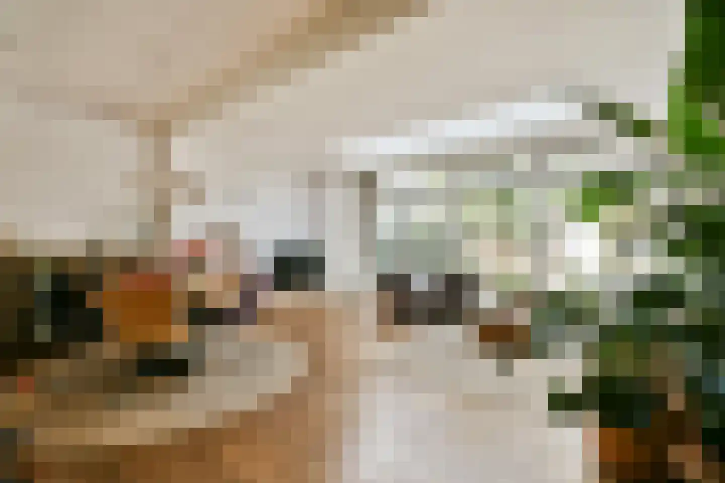 Argonautenstraat 88 1 Amsterdam thumbnail 9