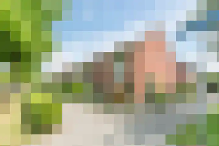 Argonautenweg 11 Y Rotterdam thumbnail 14