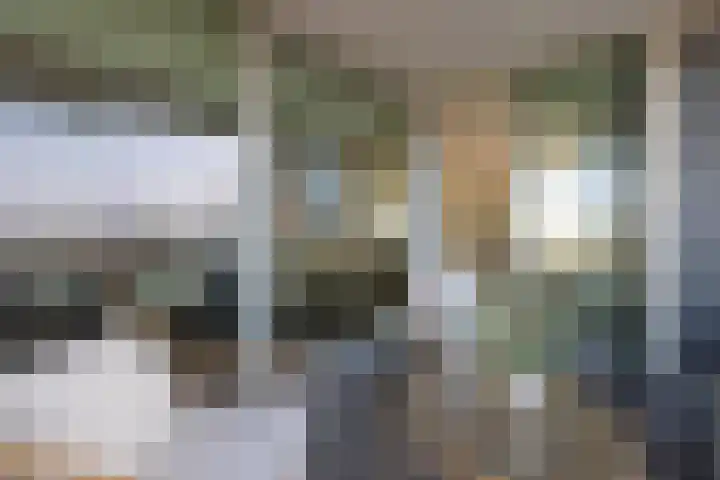 Argonautenweg 11 Y Rotterdam thumbnail 15
