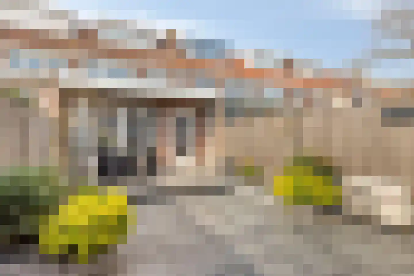 Argonautenweg 11 Y Rotterdam thumbnail 19