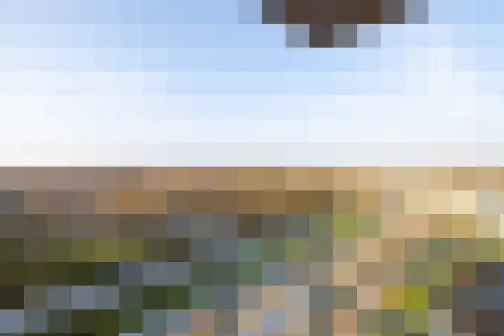 Argonautenweg 11 Y Rotterdam thumbnail 33