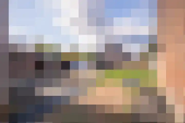 Argonautenweg 11 Y Rotterdam thumbnail 34