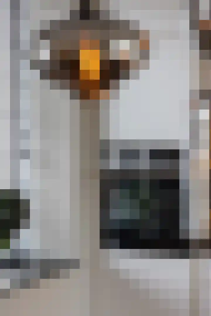 Argonautenweg 25 F Rotterdam thumbnail 11
