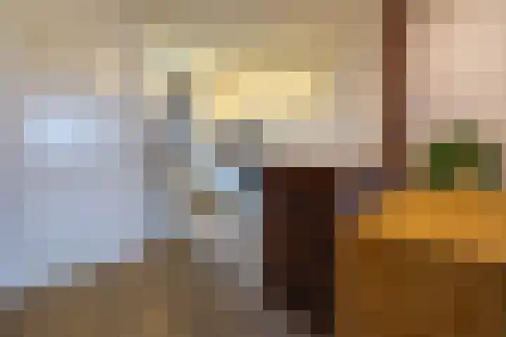 Argostraat 126 Alphen aan den Rijn thumbnail 6