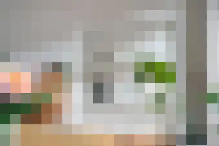 Argostraat 18 Eindhoven thumbnail 15