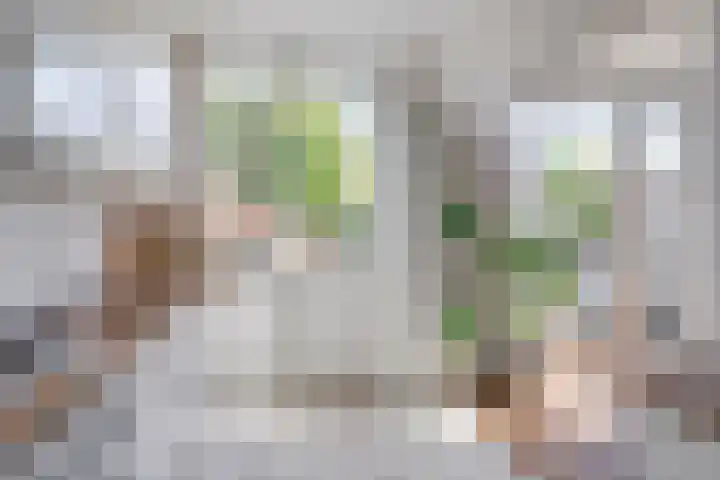 Argostraat 18 Eindhoven thumbnail 18