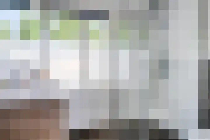 Argostraat 18 Eindhoven thumbnail 23