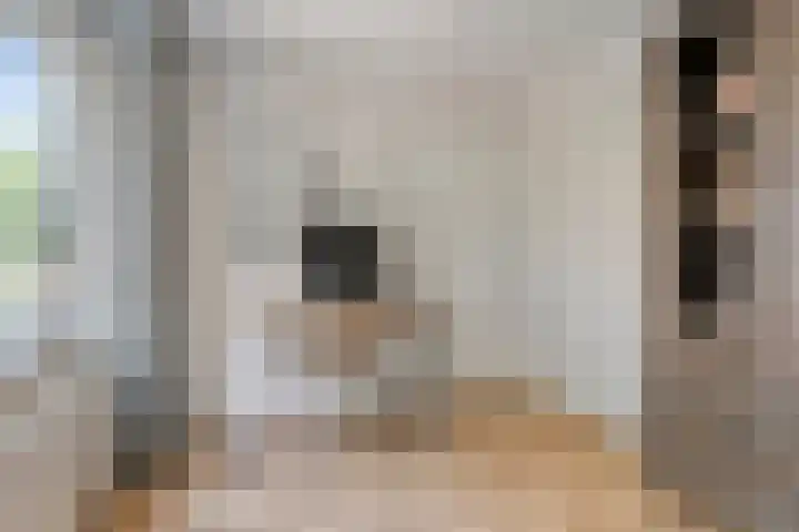 Argostraat 18 Eindhoven thumbnail 28