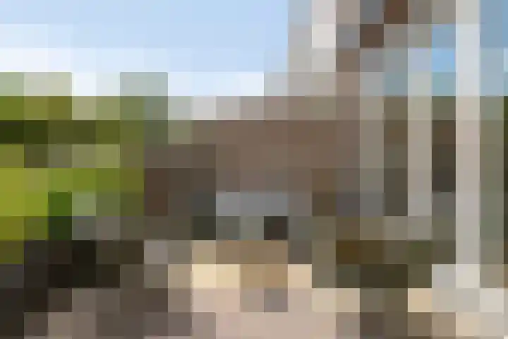 Argostraat 18 Eindhoven thumbnail 34