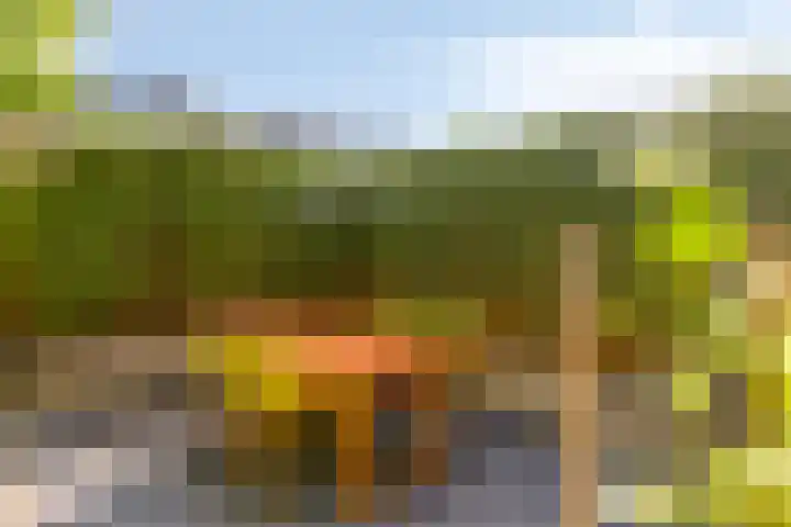 Argostraat 18 Eindhoven thumbnail 35