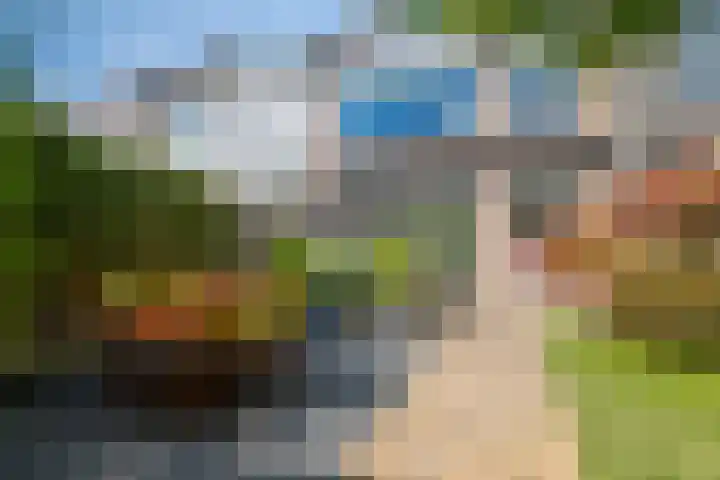 Argostraat 18 Eindhoven thumbnail 36