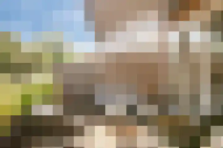 Argostraat 18 Eindhoven thumbnail 38