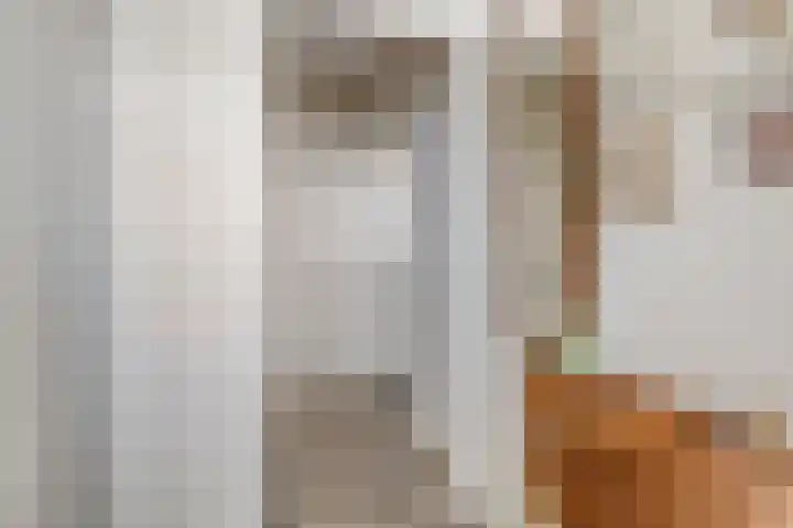 Argostraat 18 Eindhoven thumbnail 8